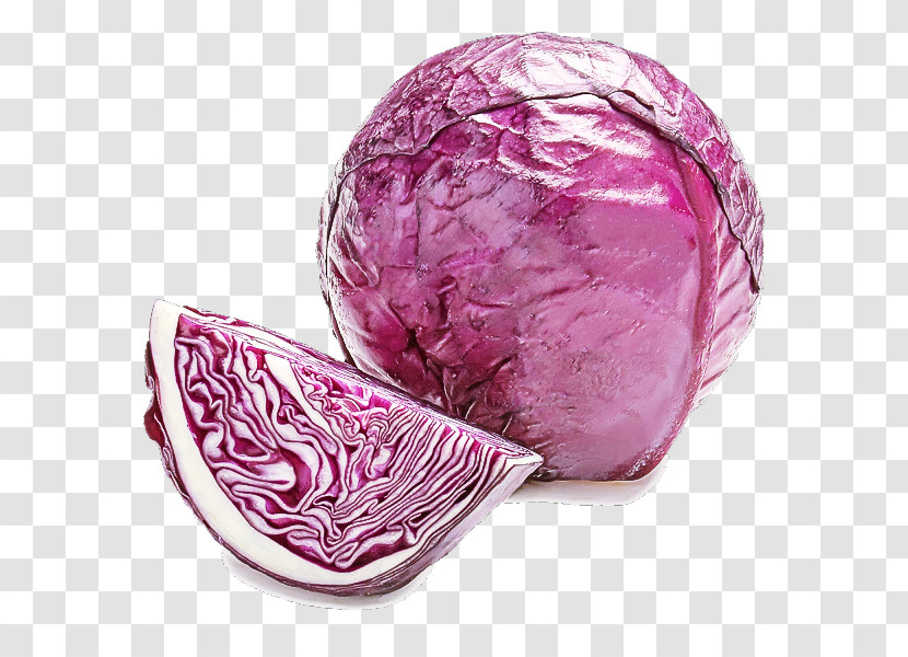 Red Cabbage Cabbage Food Vegetable Wild Cabbage Transparent PNG