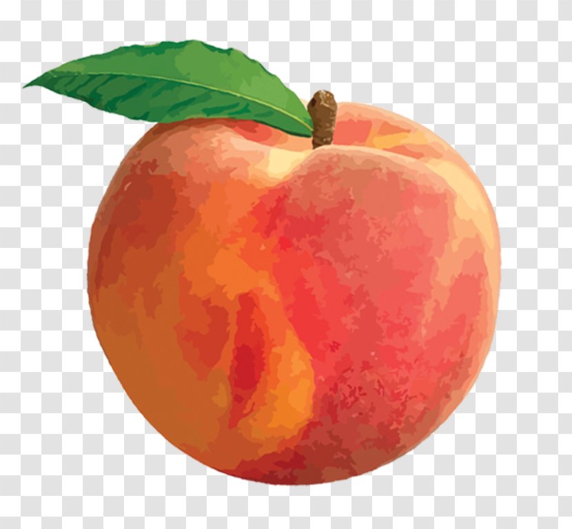 Peach Clip Art - Local Food Transparent PNG