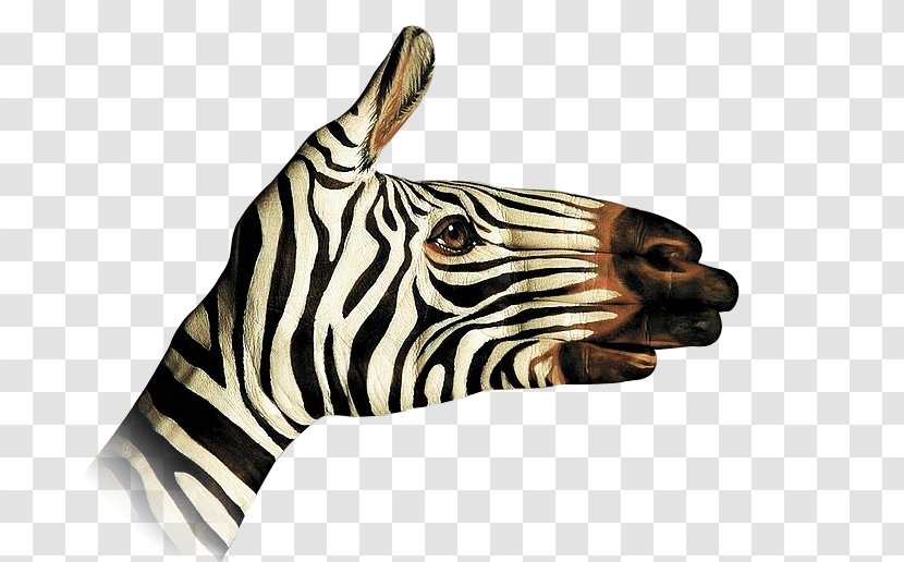 Quagga Zebra Painting Ignorant Men Don't Know What Good They Hold In Their Hands Until They've Flung It Away. Animal - Body Transparent PNG