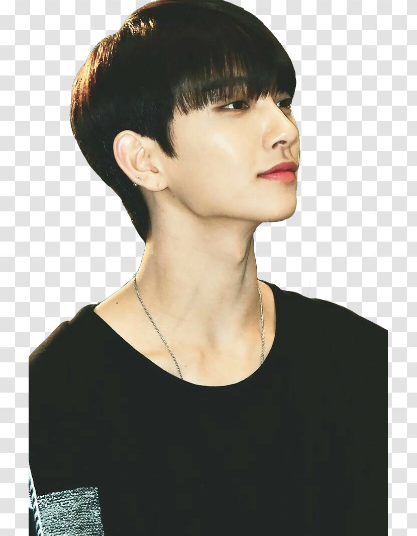 Seventeen Hair Male Bangs Bowl Cut Transparent PNG