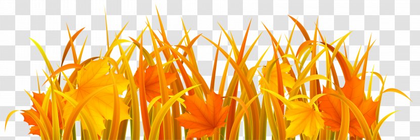 Autumn Clip Art - Flower - Grass Clipart Image Transparent PNG