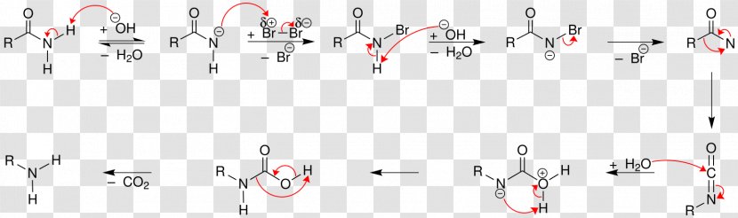 Hofmann Rearrangement Reaction Elimination Chemical - Recreation Transparent PNG
