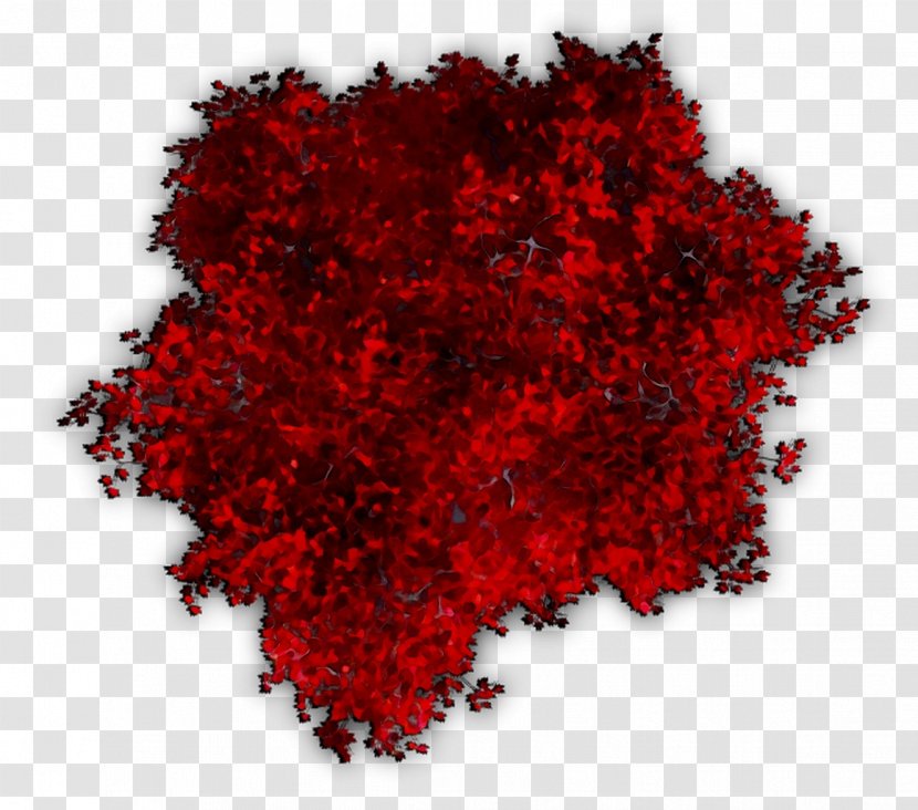 Tree Heart RED.M - Carmine - Plant Transparent PNG