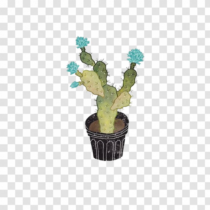 Cactaceae Plant Illustration - Screensaver - Hand-painted Flowering Cactus Transparent PNG