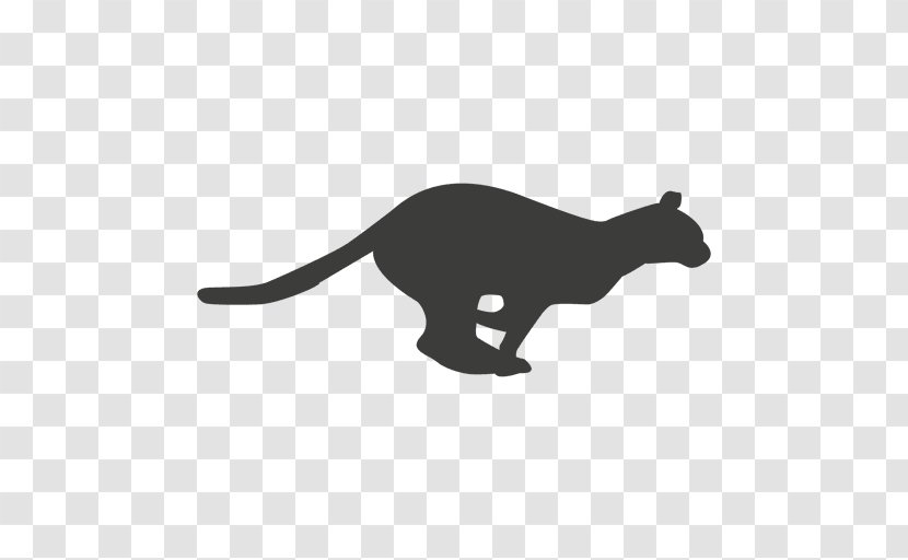 Cat Cheetah Felidae Kitten - Gfycat - Sequntial Vector Transparent PNG