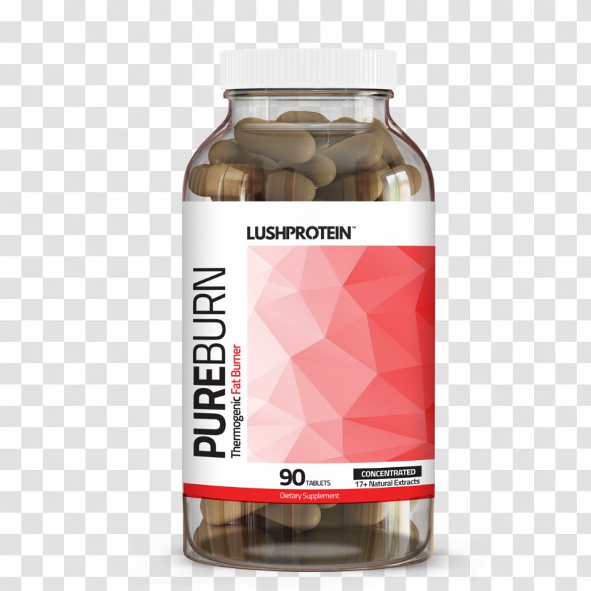 Dietary Supplement Whey Protein Bodybuilding - Health Transparent PNG