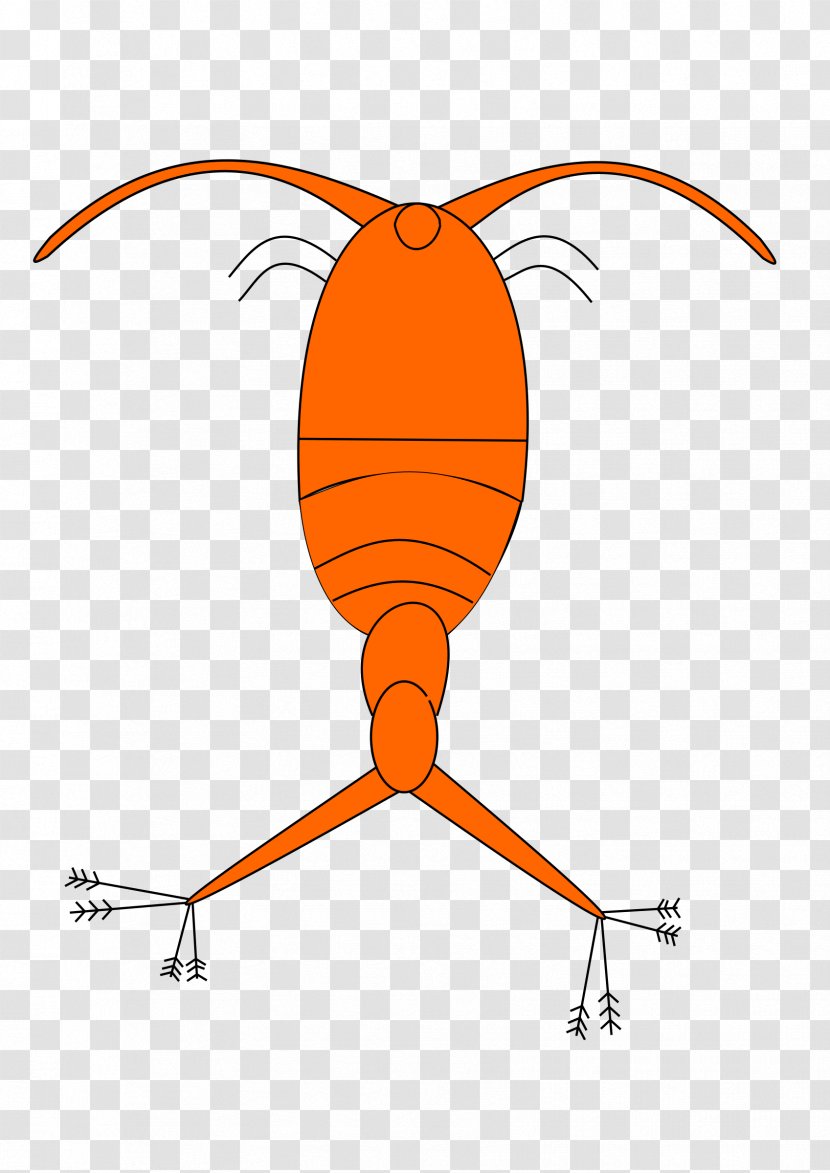Clip Art - Orange - Plankton Transparent PNG