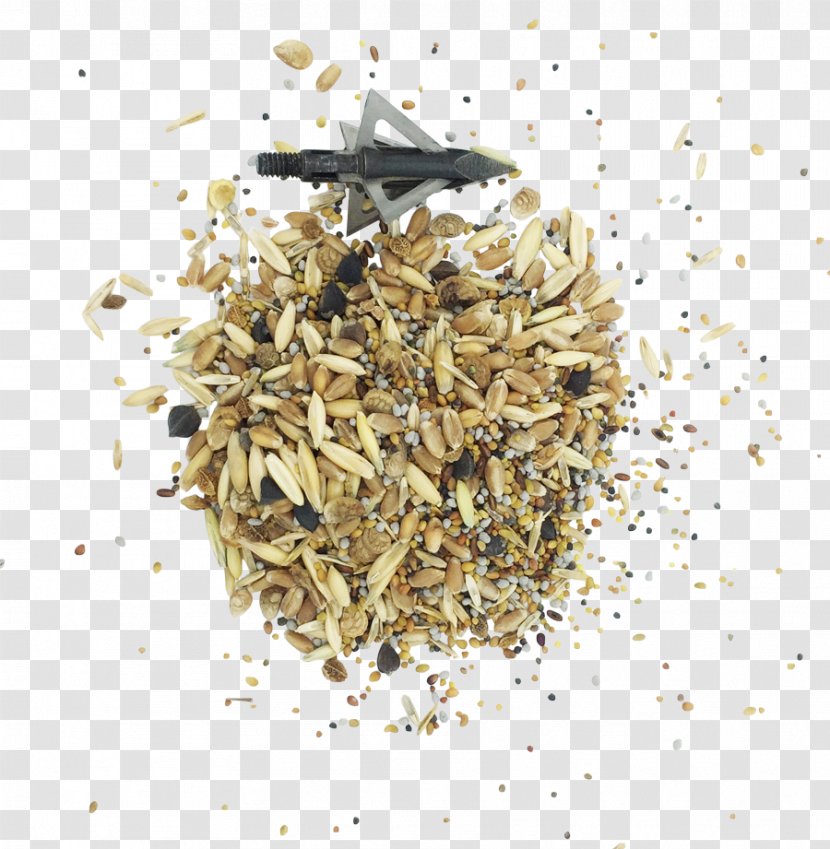 Video Hōjicha Spice Mixture Commodity - Alsike Clover Plant Transparent PNG