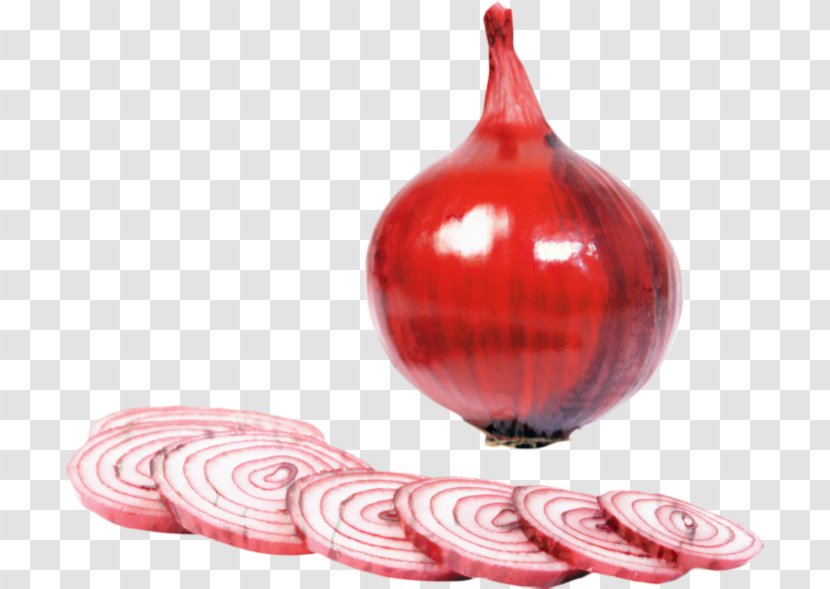 Adobe Photoshop Red RGB Color Model Onion - Volume - Image Resolution Transparent PNG