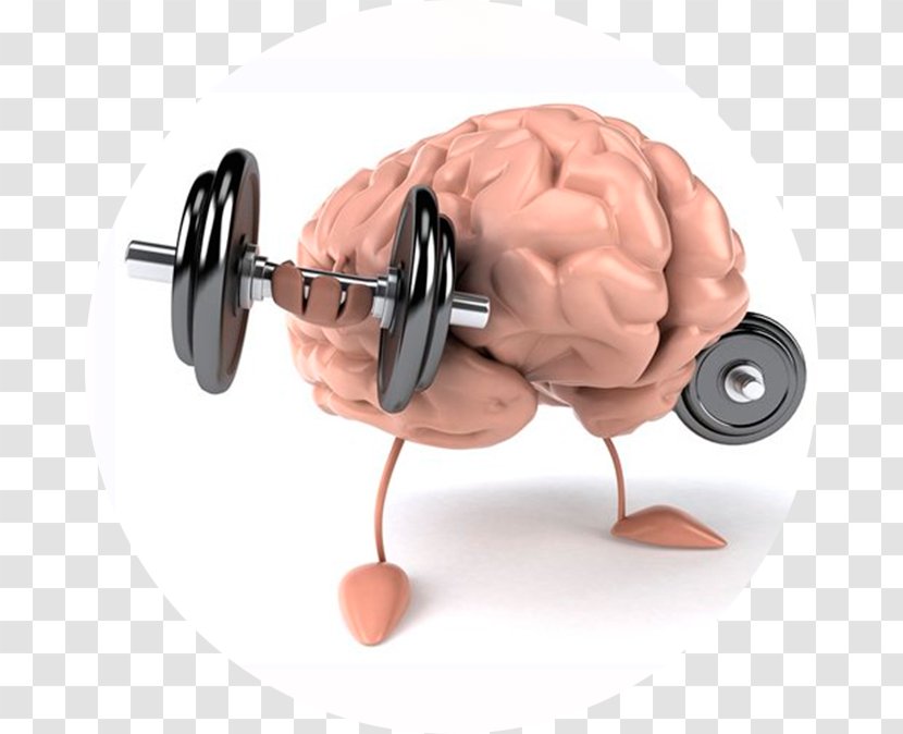Brain Muscle Mind Physical Strength Health - Tree Transparent PNG