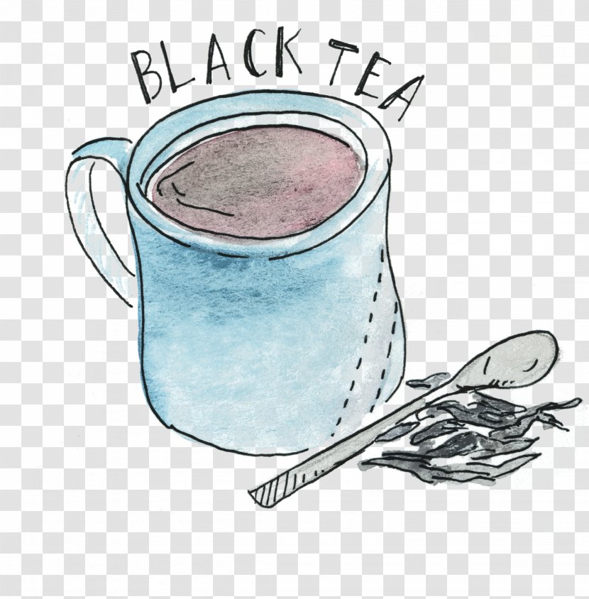 White Tea Green Oolong Black - Coffee Transparent PNG