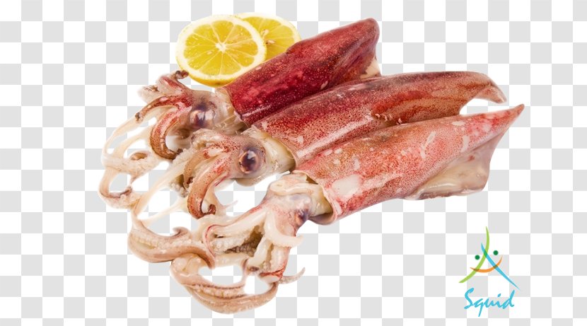 MaebanTV Squid As Food - Dish - Seafood Transparent PNG