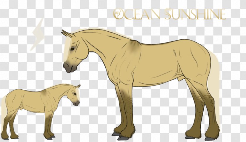 Mule Foal Stallion Mustang Pony - Mane - Refusing To Cheat And Discipline Transparent PNG