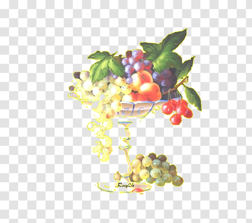 Grape Still Life Photography Superfood - Vitis Transparent PNG