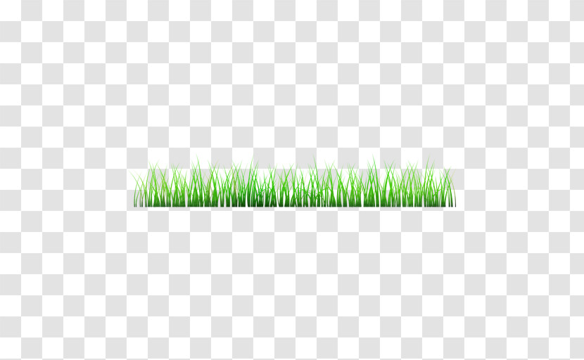 Green Grass Plant Grass Family Lawn Transparent PNG