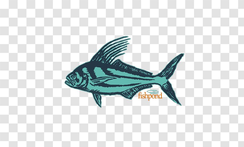 Fish Pond Marine Mammal Teal Fauna - Temple Fork Outfitters Transparent PNG
