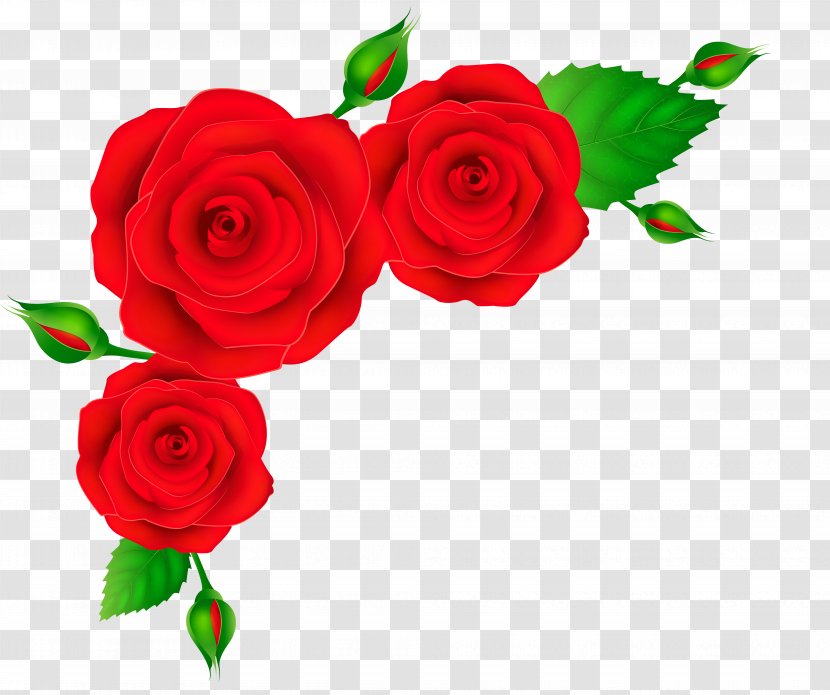 Rose Flower Red Clip Art - Floristry - Corner Cliparts Transparent PNG