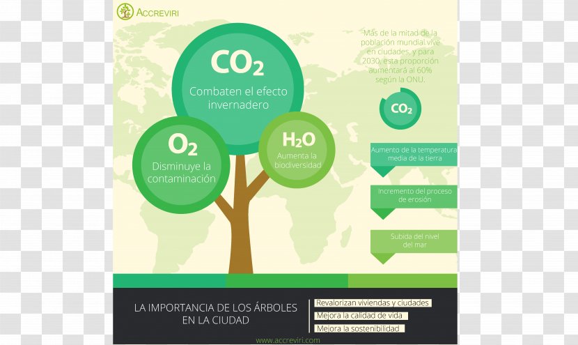 Carbon Dioxide Light Greenhouse Effect Presentation - Slide Transparent PNG