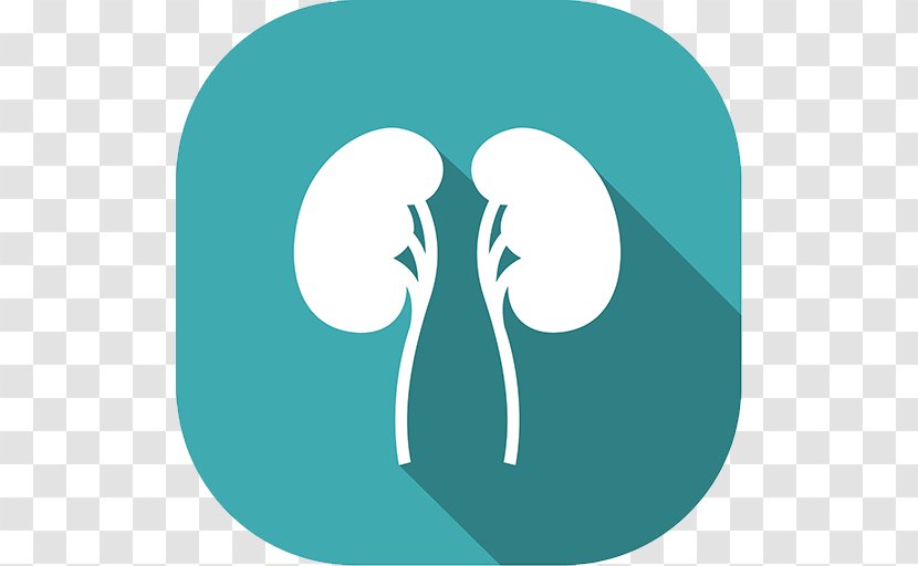 Kidney Failure Disease Clip Art - Silhouette - Heart Transparent PNG