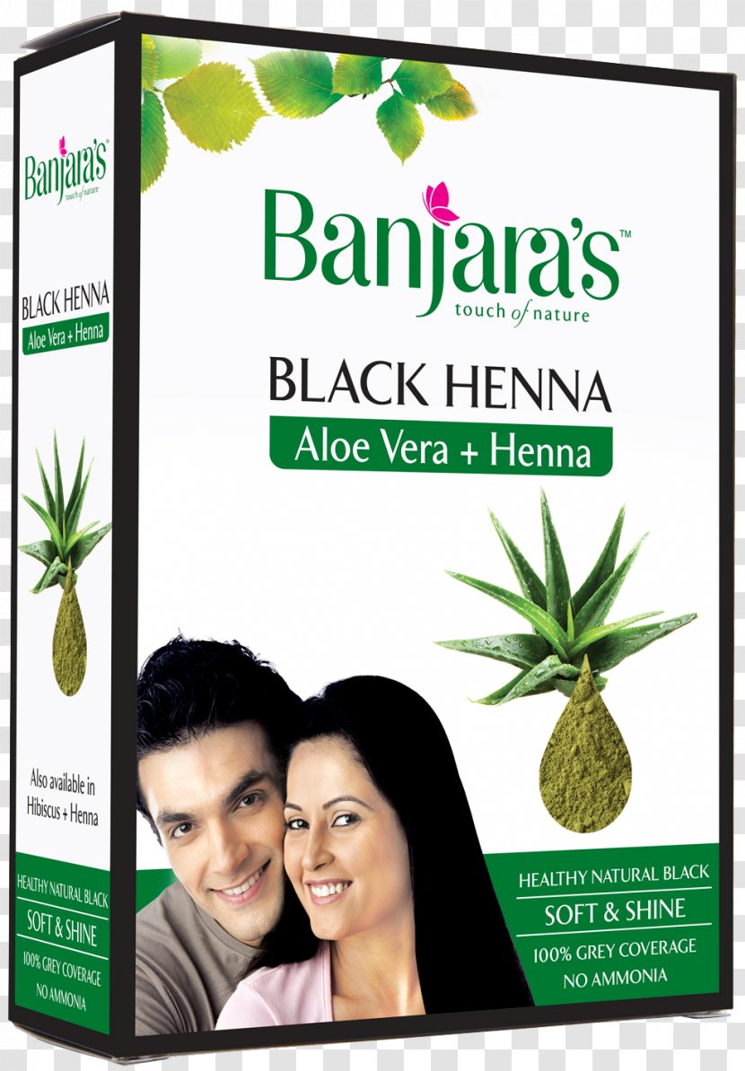 Hair Coloring Henna Aloe Vera Care Human Color - Herbalism - Dye Transparent PNG