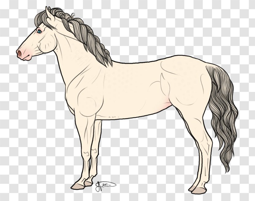 Mane Mustang Stallion Foal Pony - Joint - Icelandic Transparent PNG