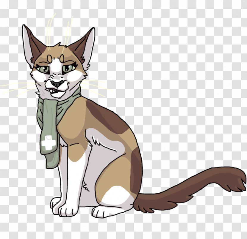 Whiskers Kitten Red Fox Cat - Vertebrate Transparent PNG