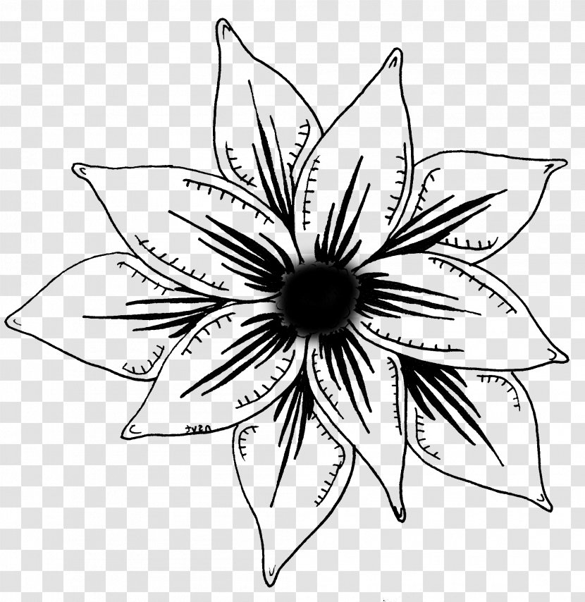 Floral Design Drawing Cut Flowers /m/02csf - Wildflower - Herbaceous Plant Transparent PNG