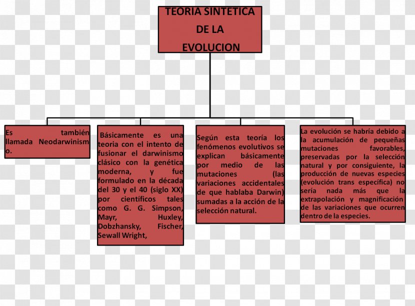 Introduction To Evolution Concept Map Biology Transparent PNG