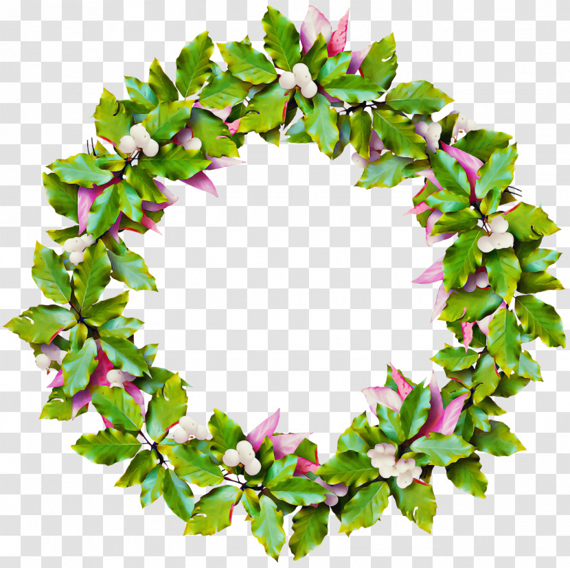 Christmas Holly Ilex Holly Transparent PNG