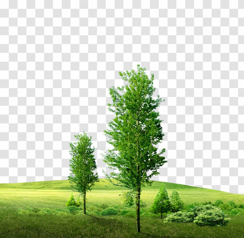 Green Download Icon - Landscape - Background Material Transparent PNG