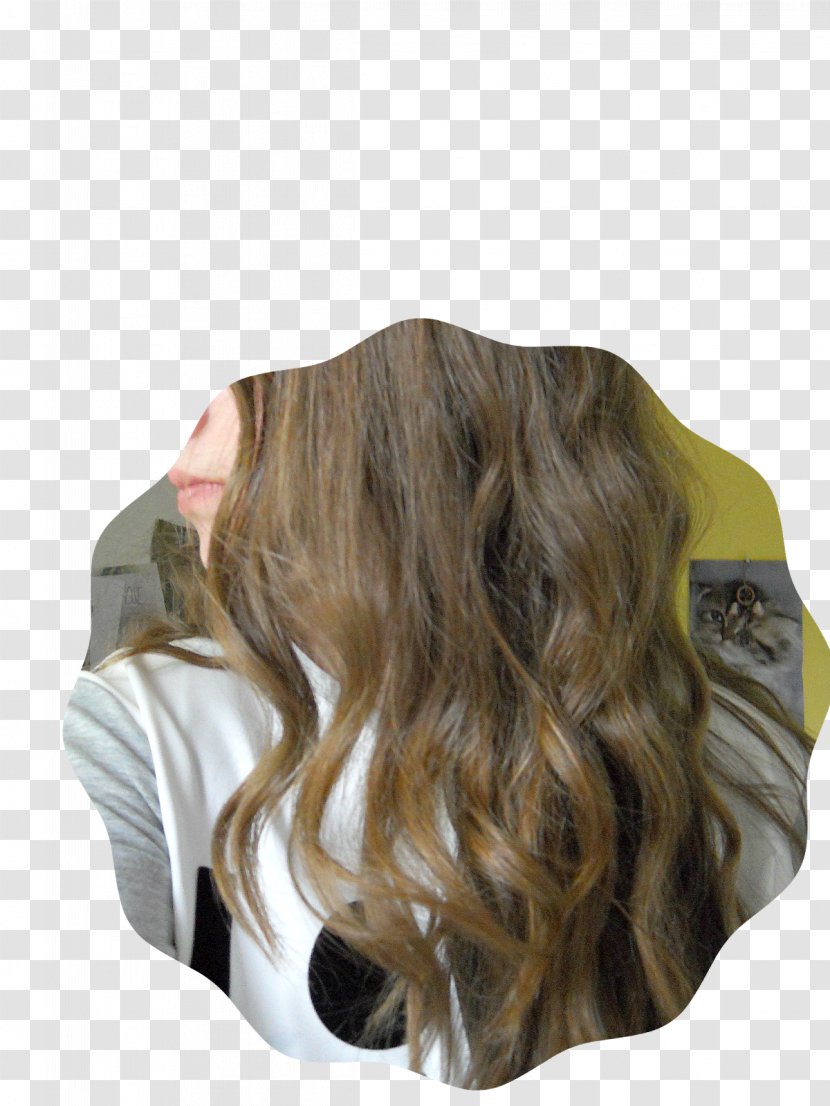 Long Hair Brown Wood Transparent PNG