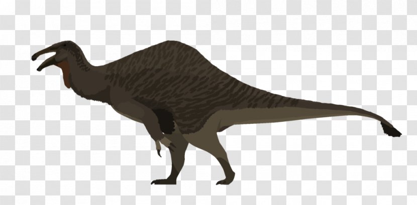 Beak Velociraptor Flightless Bird Tyrannosaurus - Extinction - Barosaurus Transparent PNG