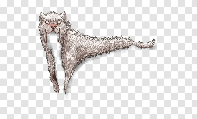 Whiskers Kitten Tabby Cat Wildcat Transparent PNG