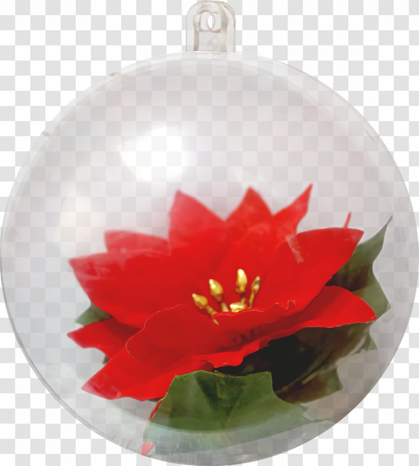 Christmas Bulbs Balls Bubbles - Flower - Poinsettia Ornament Transparent PNG