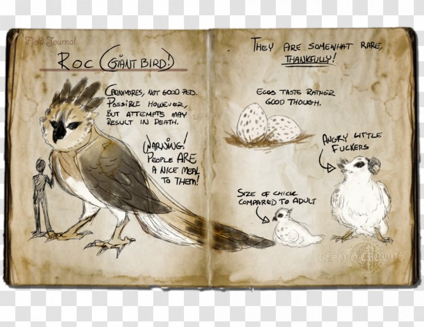 Beak Fauna - Flora And Merryweather Transparent PNG