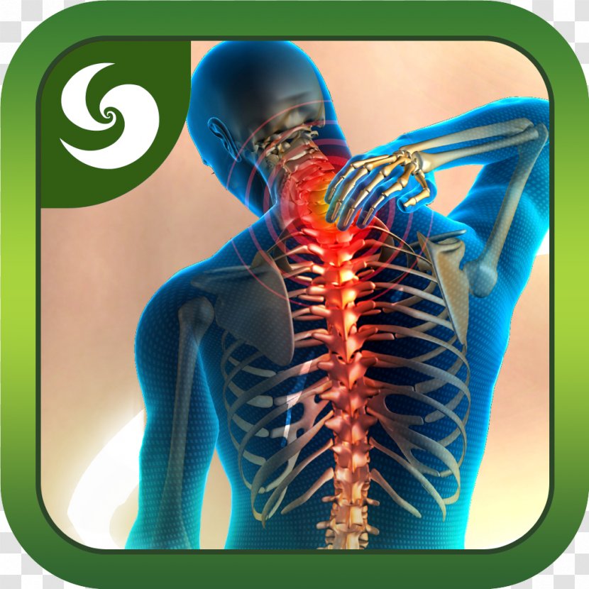 Low Back Pain Neck Management Human - Watercolor Transparent PNG