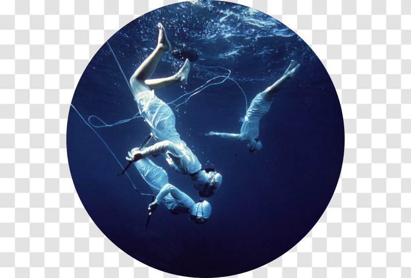 Mikimoto Pearl Island Ama Hunting Underwater Diving - Matsusaka Beef Transparent PNG