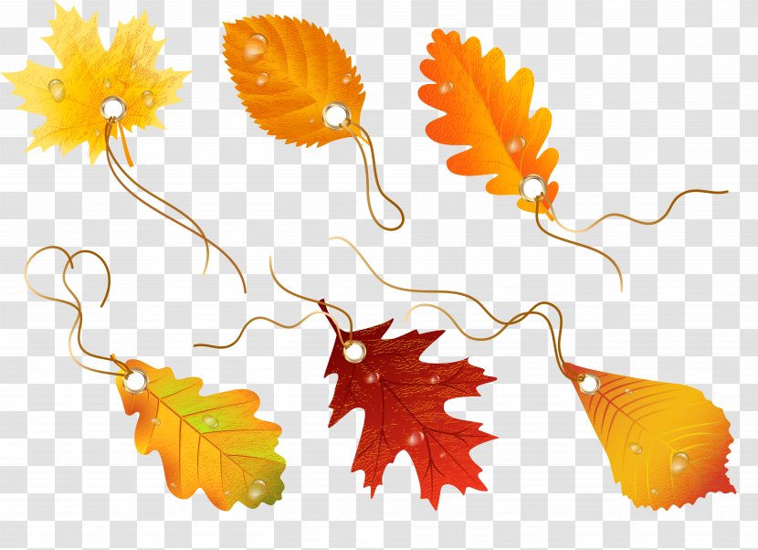 Autumn Leaves Drawing Clip Art - Graphic Arts Transparent PNG