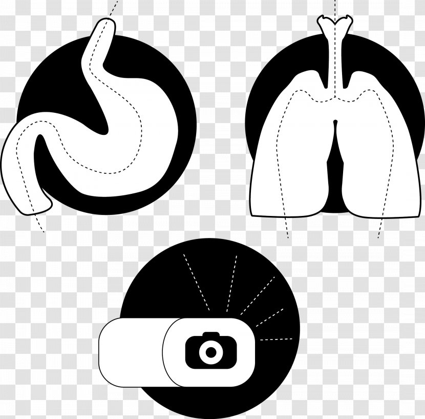 Clip Art Brand Product Design Logo - Capsule Endoscopy Transparent PNG