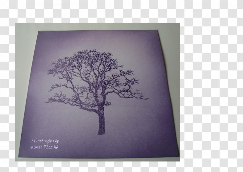 Picture Frames Branching Image - Violet - Hand Cards Transparent PNG