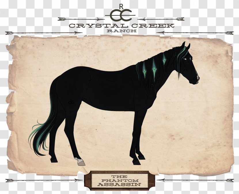 Jesse Pinkman Walter White Stallion Black Desert Online Pony - Work Of Art Transparent PNG