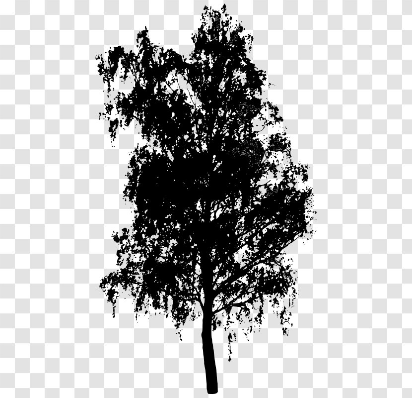 Tree Silhouette Clip Art - Black And White Transparent PNG