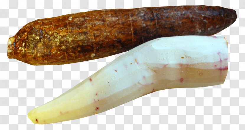 Cassava Fruit Food - Peel - Peeled Transparent PNG