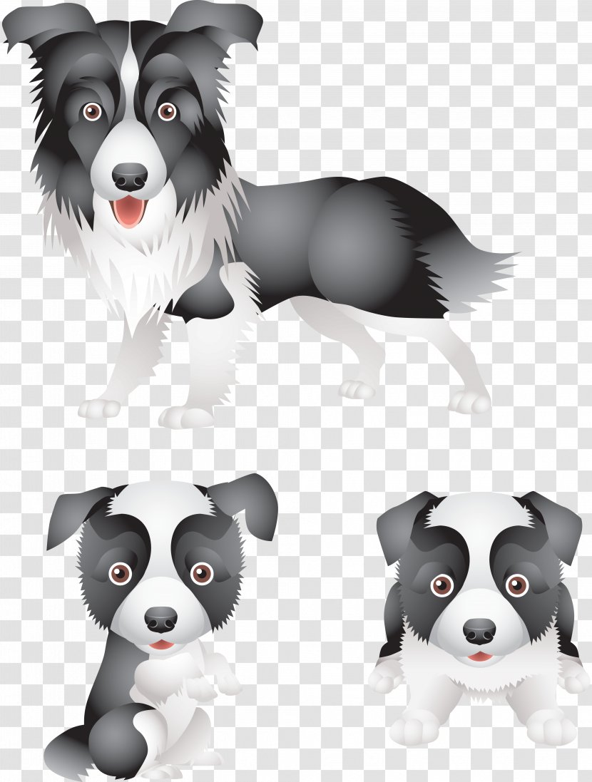 Border Collie Puppy Rough Standard Schnauzer Maltese Dog - Cartoon Transparent PNG