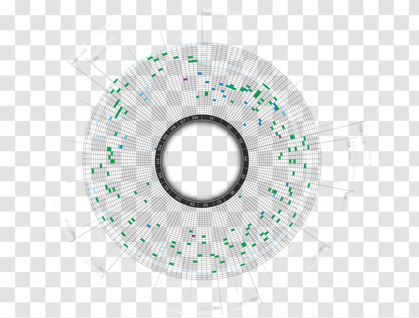 Infographic Data Visualization Information Diagram - Flower - Top Gear Transparent PNG