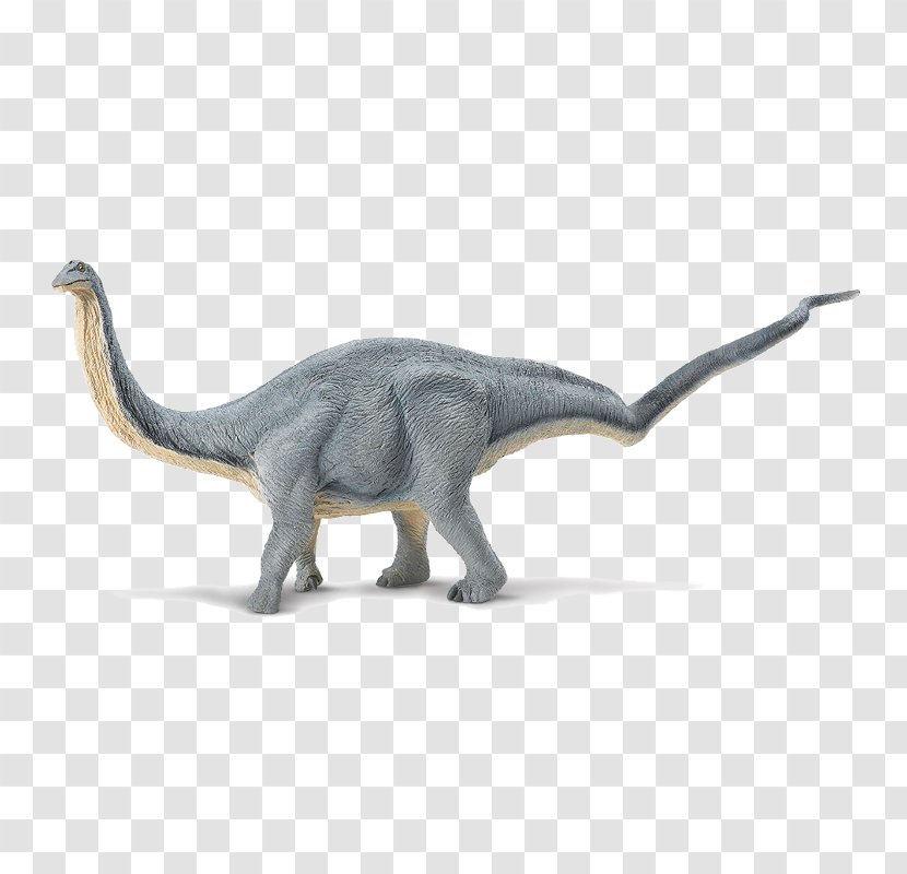 Apatosaurus Suchomimus Dinosaur Brachiosaurus Diplodocus - Fauna Transparent PNG