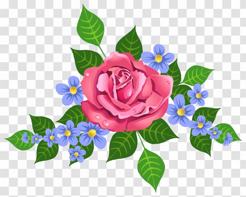 Pink Rose Decorative Element Image - Illustration - Petal Transparent PNG