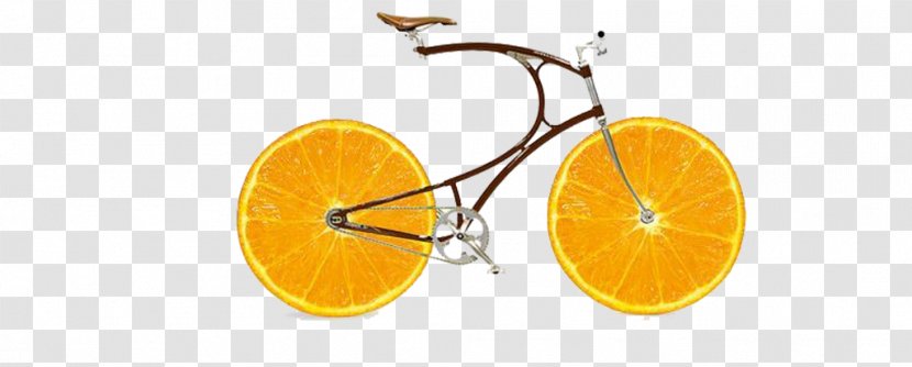 Orange Slice Fruit - Drawing - Creative Bike Transparent PNG