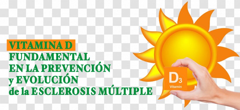 Vitamin D Multiple Sclerosis Hypovitaminosis - Therapy Transparent PNG
