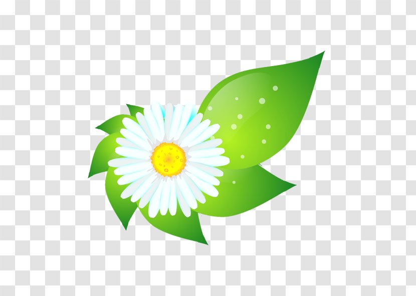 Green Flower Computer File - Leaf - Flowers Transparent PNG